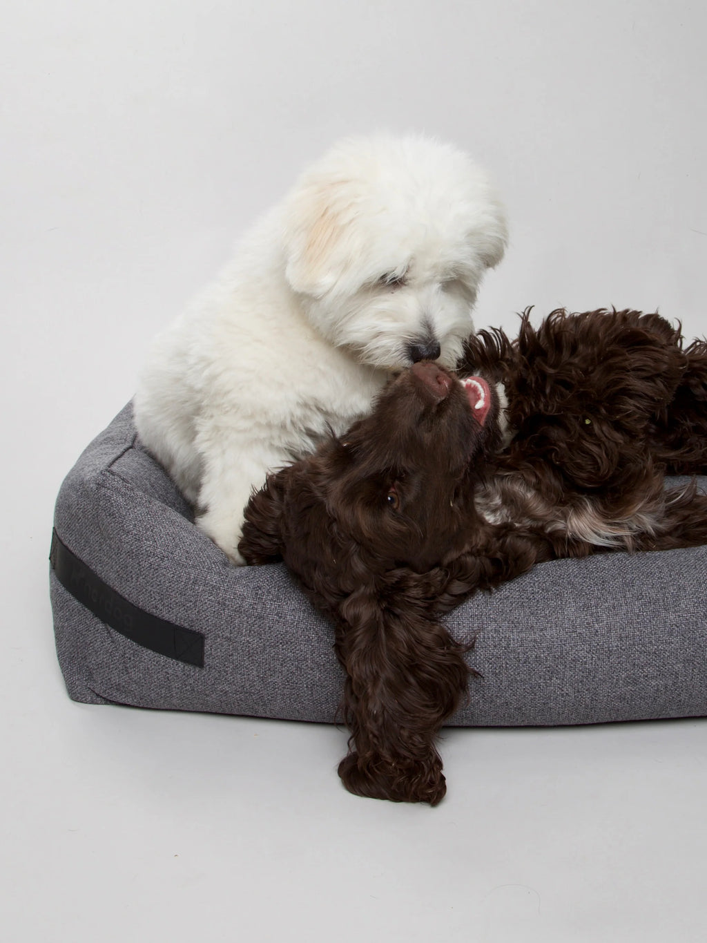 The Borrowdale Eco Orthopaedic Memory Foam Dog Bed