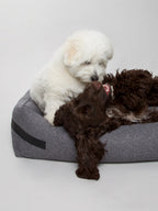 The Borrowdale Eco Orthopaedic Memory Foam Dog Bed