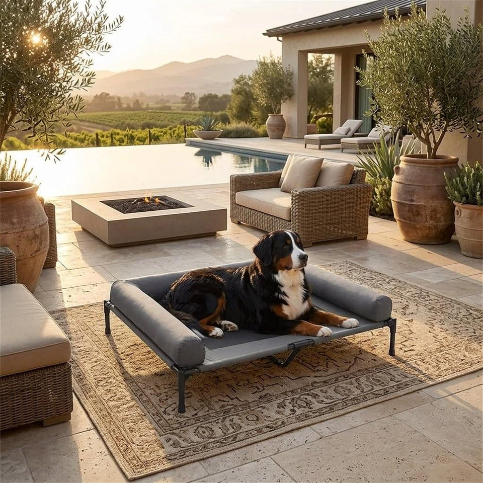 Bassenthwaite Elevated Mesh Dog Bed - Pawlunova