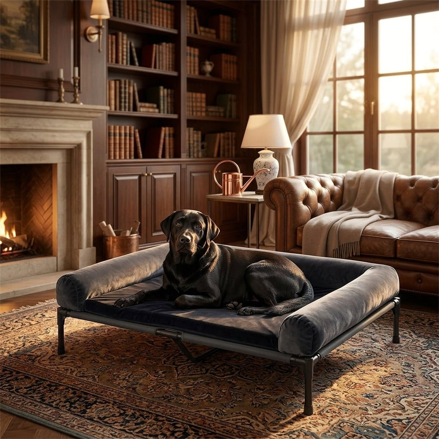Bassenthwaite Elevated Mesh Dog Bed - Pawlunova