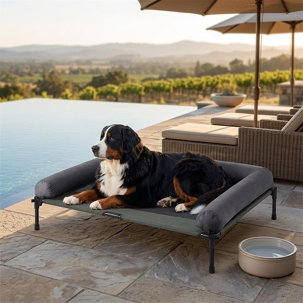 Bassenthwaite Elevated Mesh Dog Bed - Pawlunova