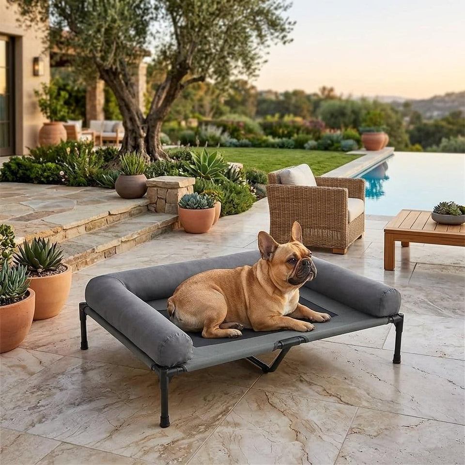 Bassenthwaite Elevated Mesh Dog Bed - Pawlunova