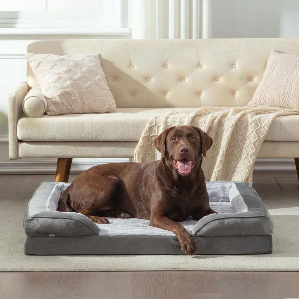 Braithwaite Orthopaedic Chaise Dog Bed - Pawlunova