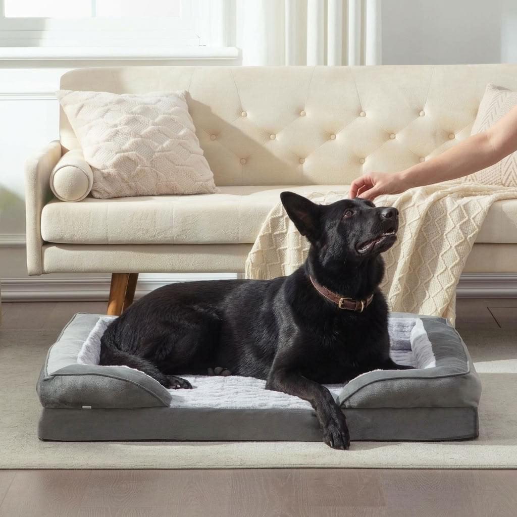 Braithwaite Orthopaedic Chaise Dog Bed - Pawlunova