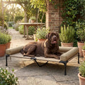 Brotherswater Elevated Mesh Bolster Dog Bed - Pawlunova