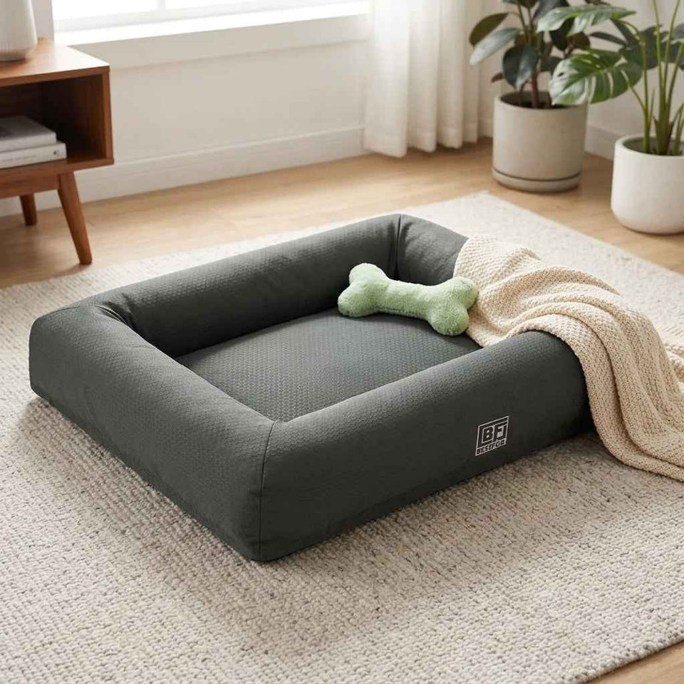 Chatsworth Memory Foam Bolster Dog Bed - Pawlunova