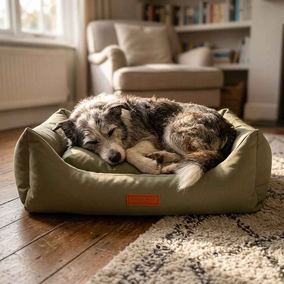Waterproof high sided nest dog bed in wipe clean coated fabric - PawLunova Crummock