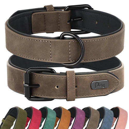 Askham Padded Leather Dog Collar