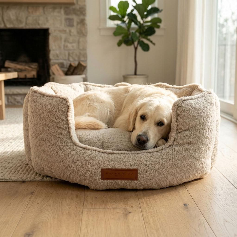 Elterwater Bouclé Memory Foam Nest Dog Bed - Pawlunova