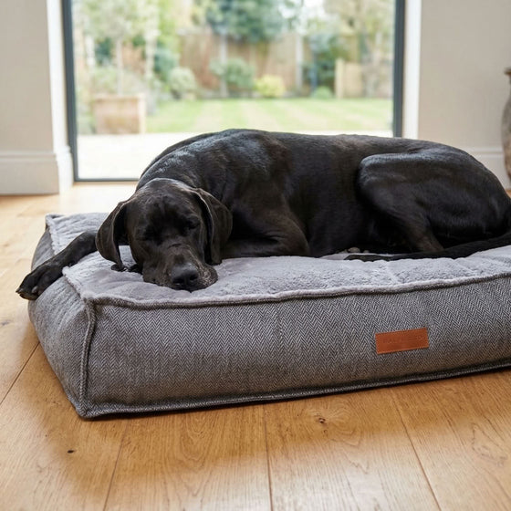 Hawkshead Herringbone Pillow Dog Mattress - Pawlunova