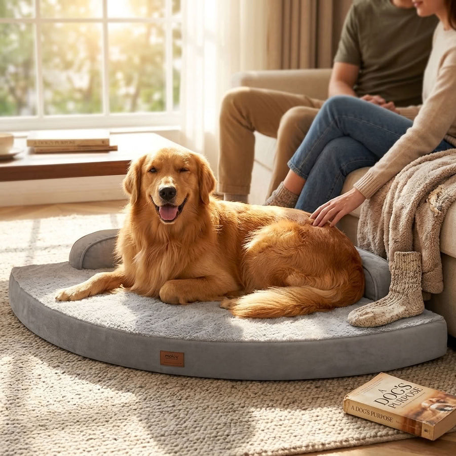 Helvellyn Corner Orthopaedic Dog Bed - Pawlunova
