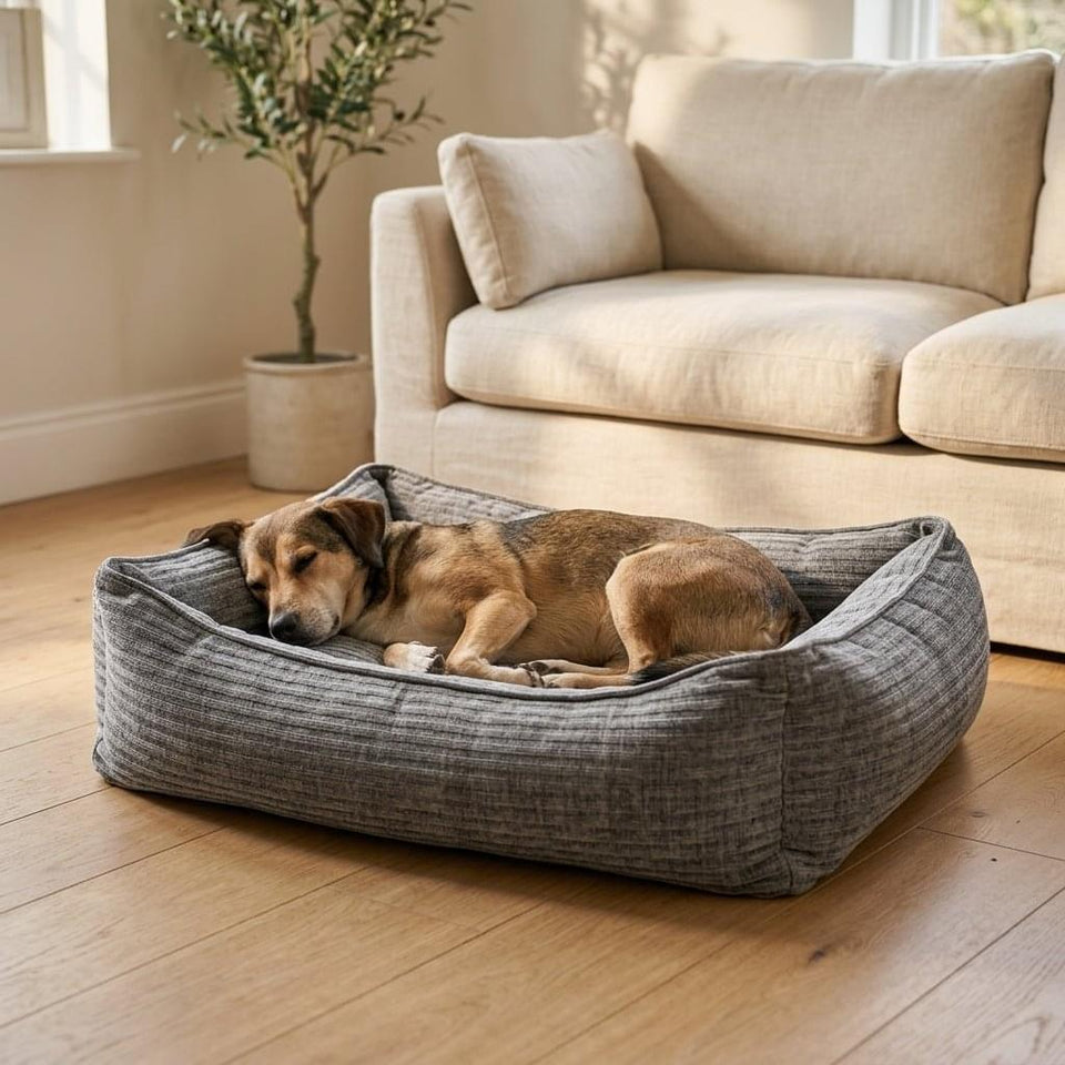 Kendal Corduroy Memory Foam Dog Bed - Pawlunova