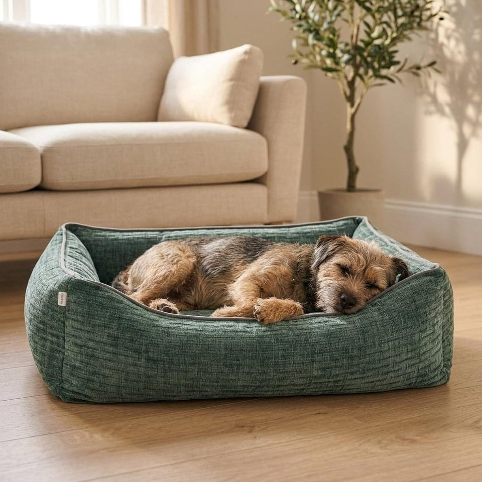Kendal Corduroy Memory Foam Dog Bed - Pawlunova