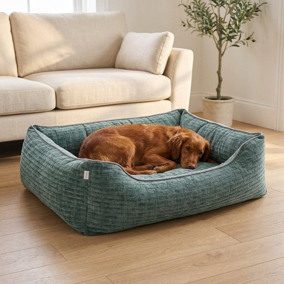 Kendal Corduroy Memory Foam Dog Bed - Pawlunova