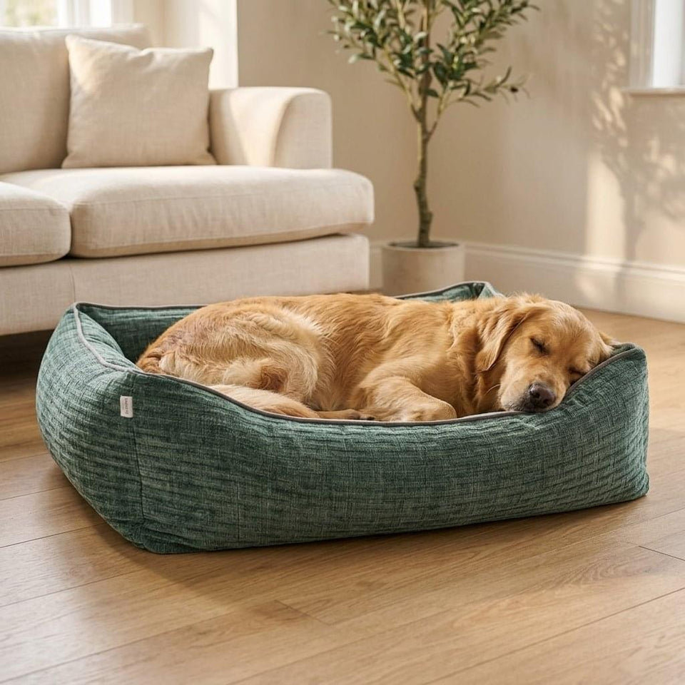 Kendal Corduroy Memory Foam Dog Bed - Pawlunova