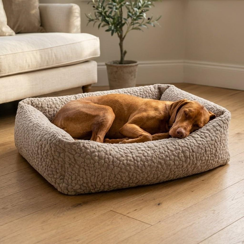 Kendal Corduroy Memory Foam Dog Bed - Pawlunova