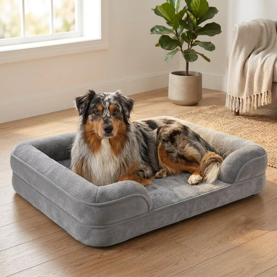 Langdale Raised-Edge Orthopaedic Dog Bed - Pawlunova