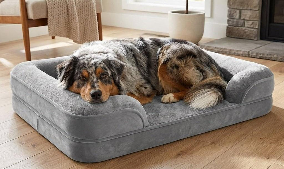 Langdale Raised-Edge Orthopaedic Dog Bed - Pawlunova