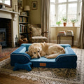 Lingholm Velvet Gel Memory Foam Dog Sofa