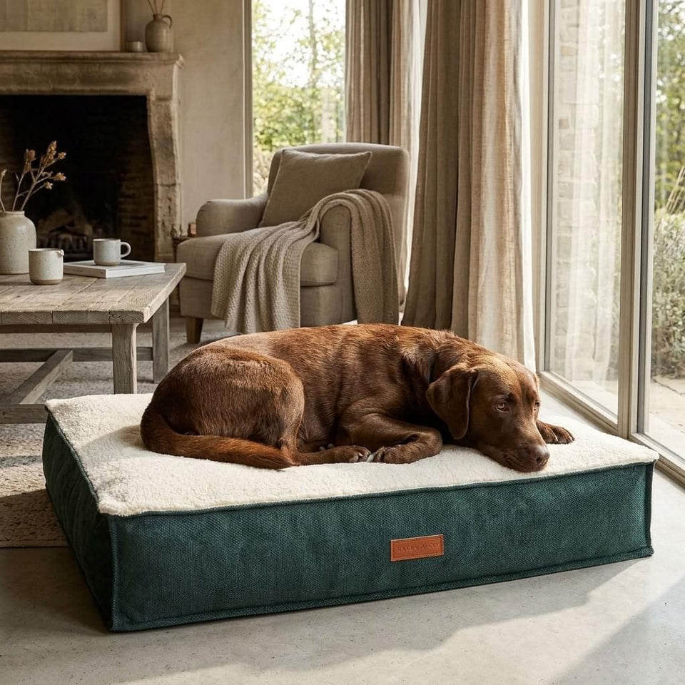Sherpa pillow dog bed mattress in green stonewashed fabric with leather handles - PawLunova Seathwaite