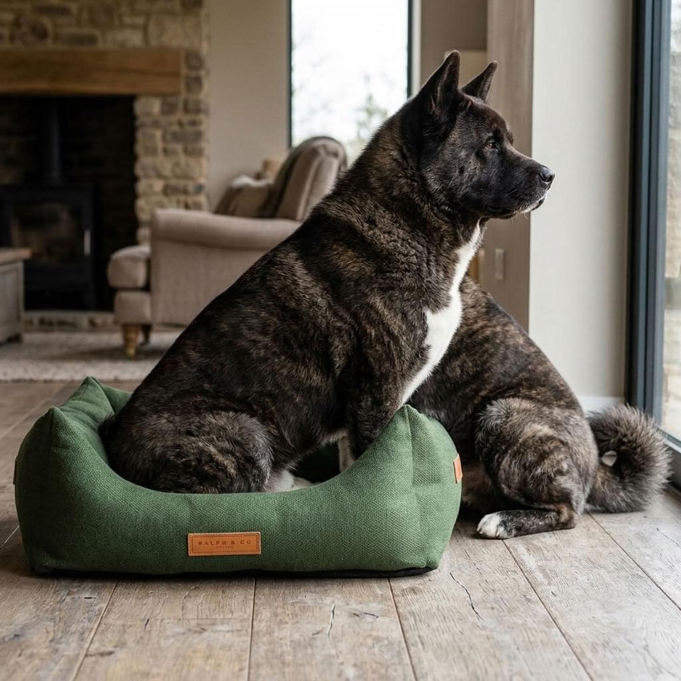 Loweswater Stonewashed Bolster Dog Bed - Pawlunova
