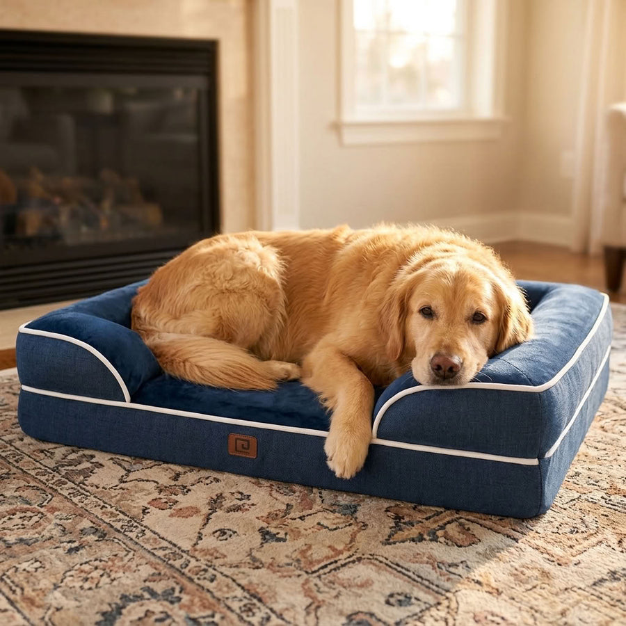 Mardale XXL Memory Foam Bolster Dog Bed - Pawlunova