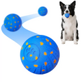 Hardknott Automatic Ball Launcher for Small and Medium Dogs