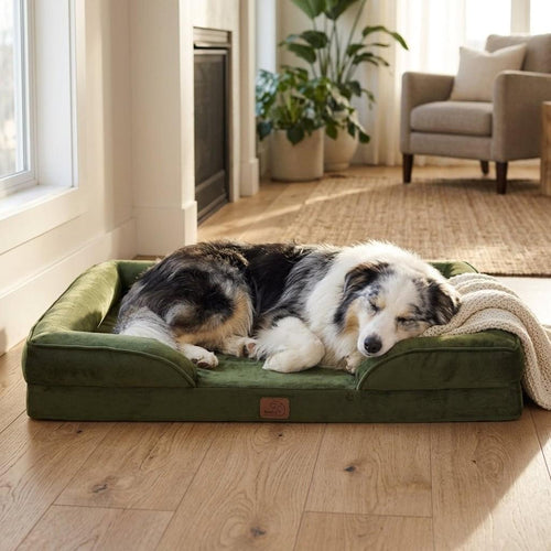 Newlands Orthopaedic Dog Sofa Bed - Pawlunova