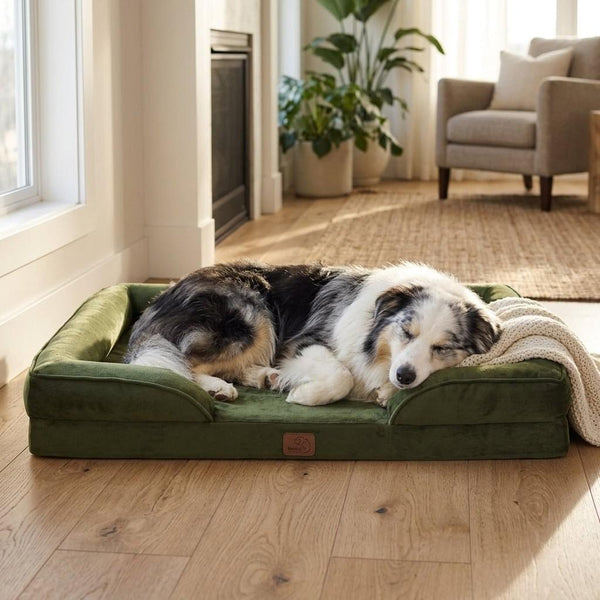 Newlands Orthopaedic Dog Sofa Bed - Pawlunova
