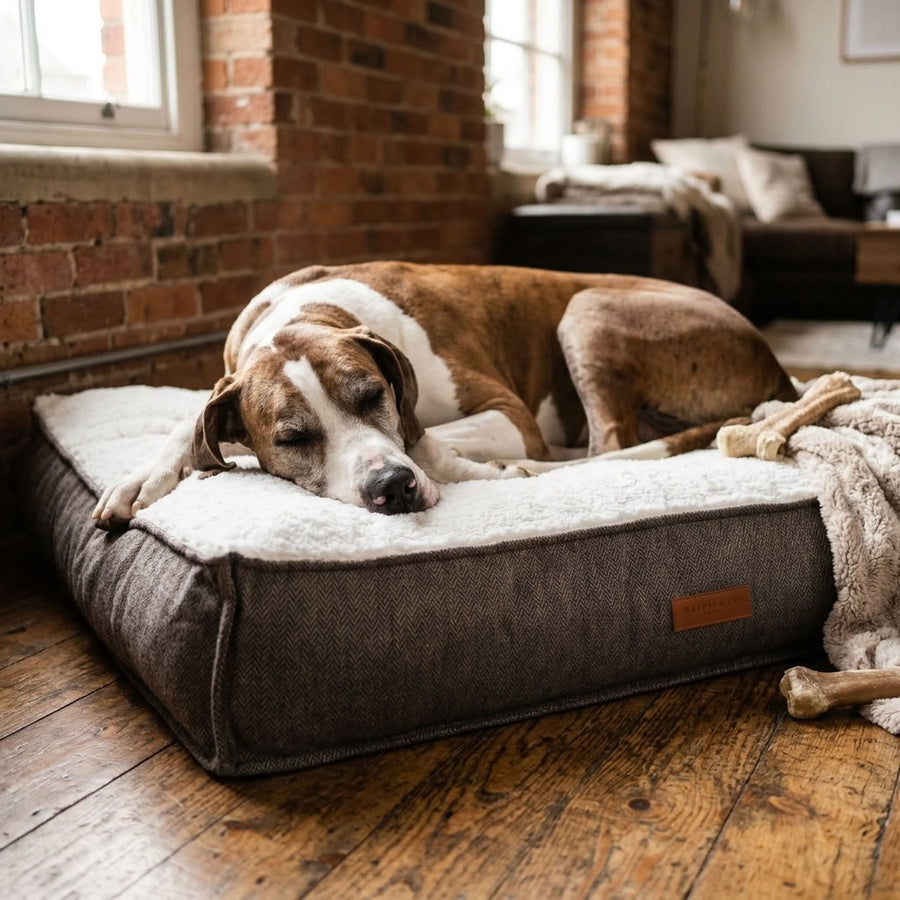 Patterdale Tweed Orthopaedic Dog Mattress - Pawlunova