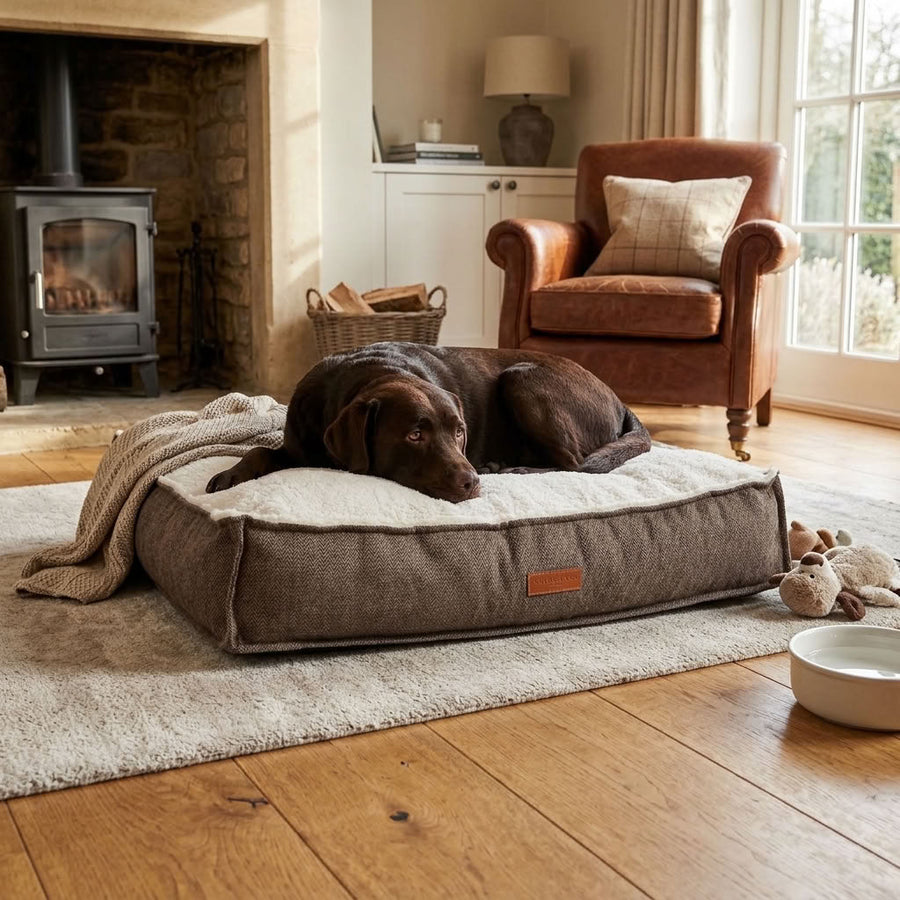 Patterdale Tweed Orthopaedic Dog Mattress - Pawlunova