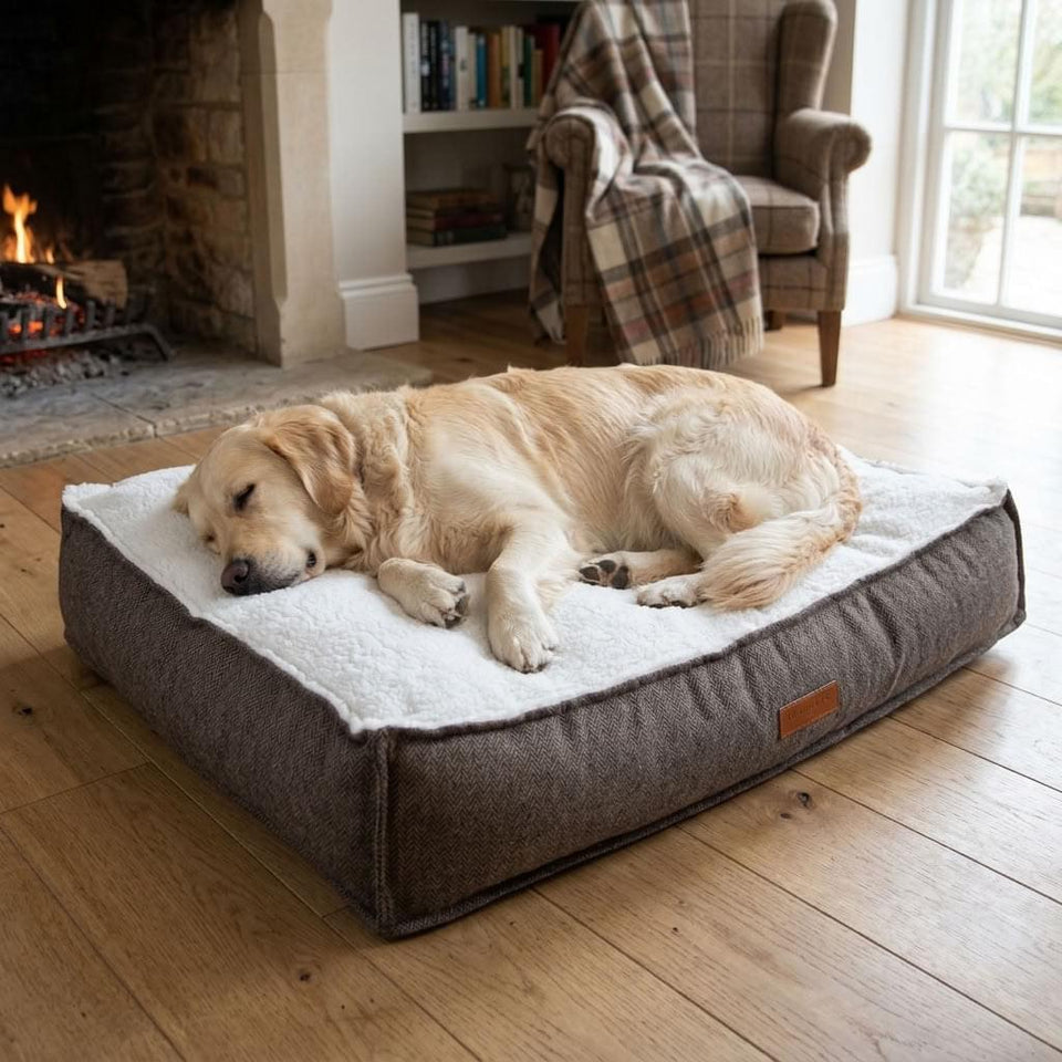 Patterdale Tweed Orthopaedic Dog Mattress - Pawlunova
