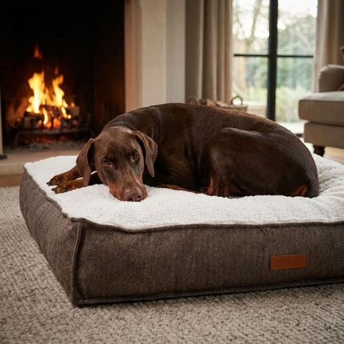 Patterdale Tweed Orthopaedic Dog Mattress - Pawlunova