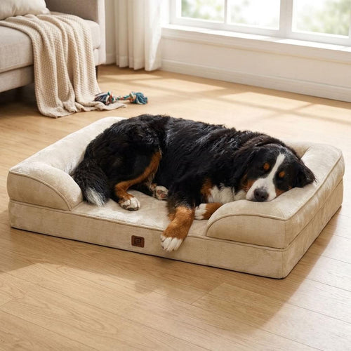 Rosthwaite Memory Foam Bolster Dog Bed - Pawlunova