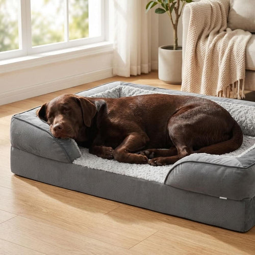 Scafell XL Orthopaedic Dog Sofa Bed - Pawlunova