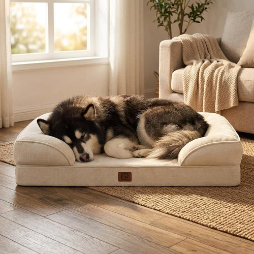 Skelwith Memory Foam Nest Dog Sofa - Pawlunova