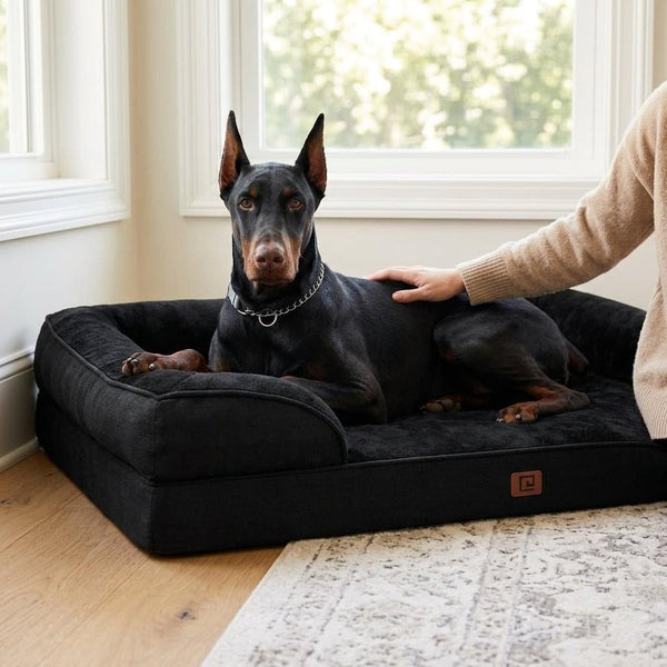 Staveley Orthopaedic Bolster Dog Bed - Pawlunova