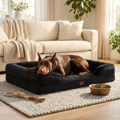 Staveley Orthopaedic Bolster Dog Bed - Pawlunova
