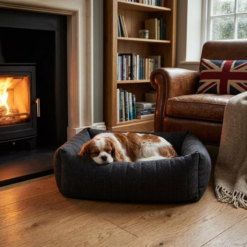 Thirlmere Felt Nest Dog Bed - Pawlunova