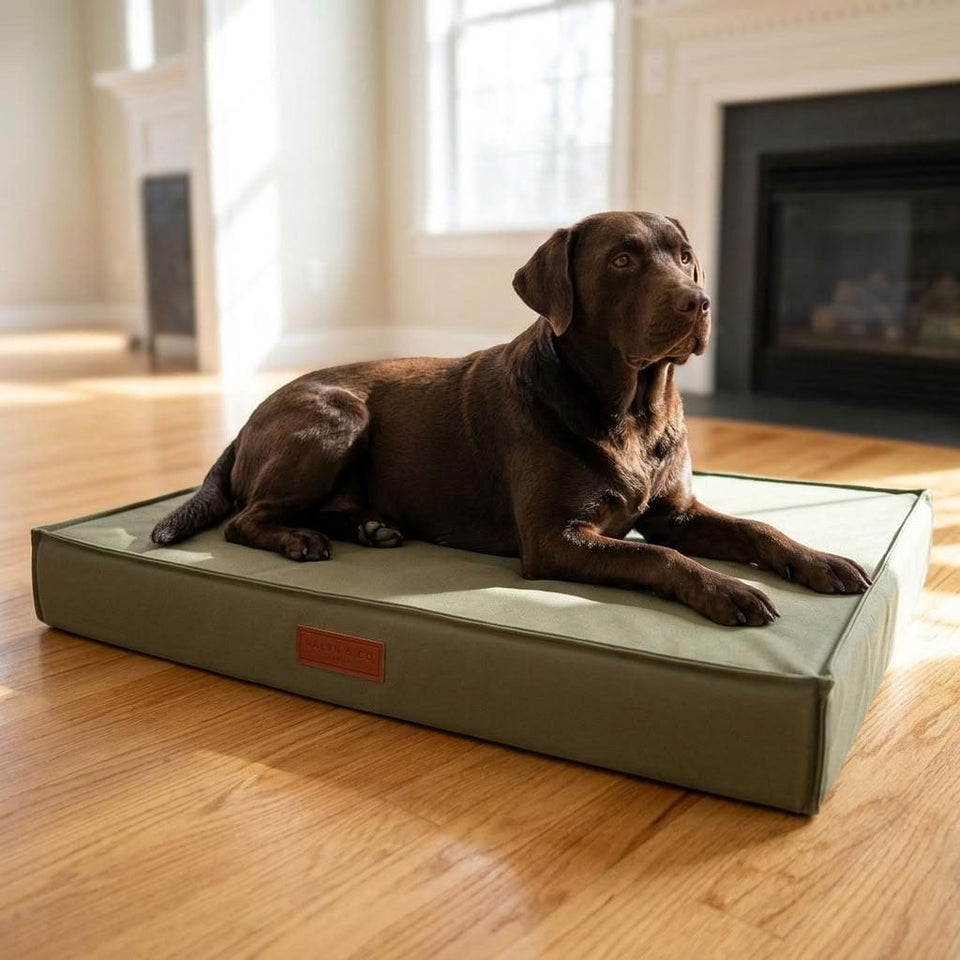 Wasdale Waterproof Pillow Dog Mattress - Pawlunova