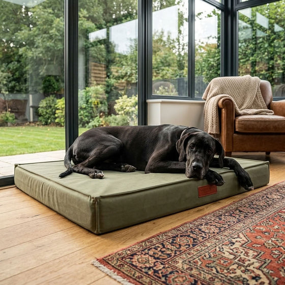 Wasdale Waterproof Pillow Dog Mattress - Pawlunova