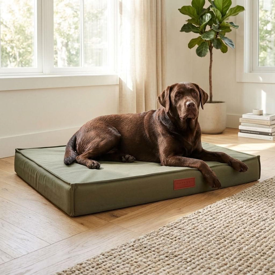 Wasdale Waterproof Pillow Dog Mattress - Pawlunova