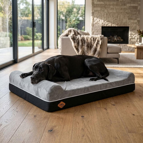 Wastwater Memory Foam Dog Mattress - Pawlunova