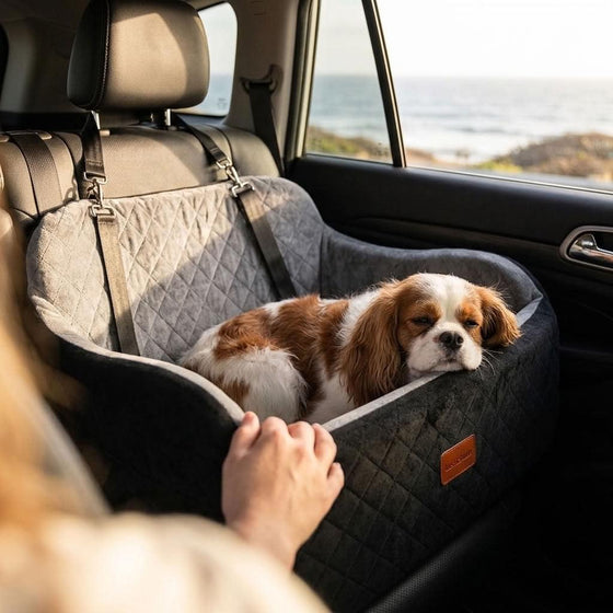 Whinlatter Memory Foam Dog Car Seat - Pawlunova