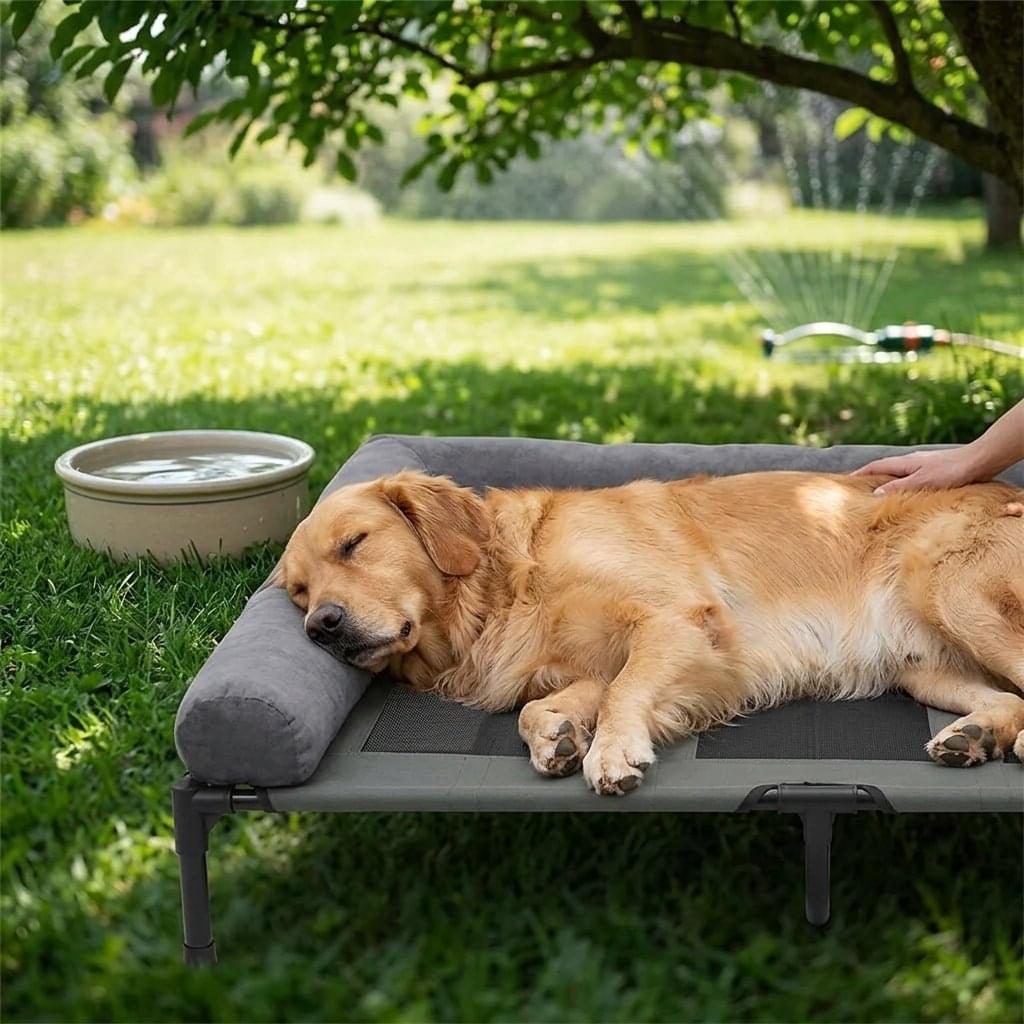 Windermere Elevated Mesh Dog Bed - Pawlunova