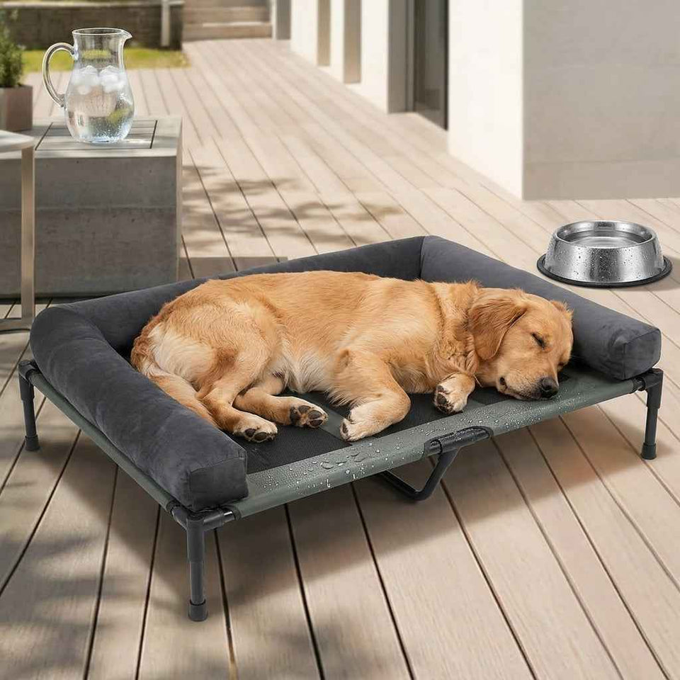 Windermere Elevated Mesh Dog Bed - Pawlunova