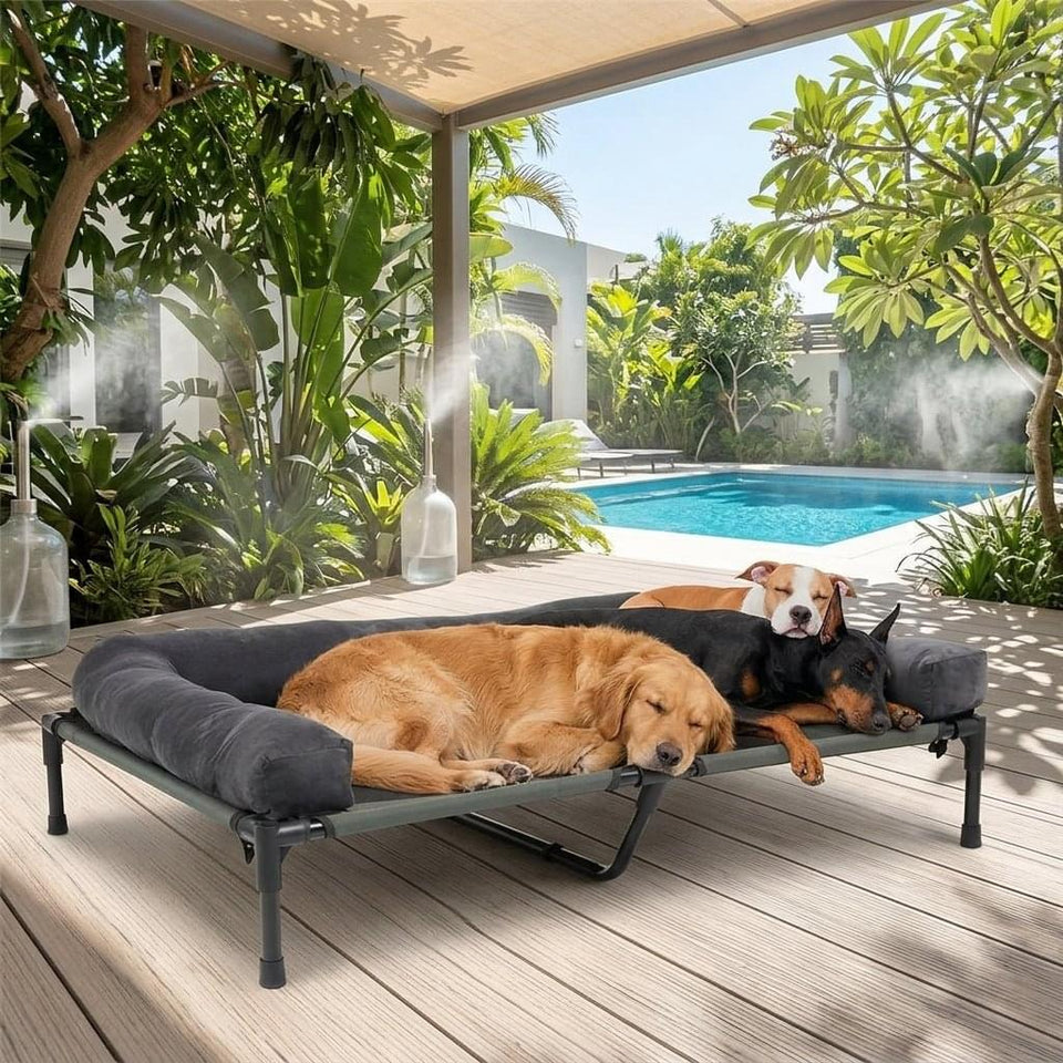 Windermere Elevated Mesh Dog Bed - Pawlunova