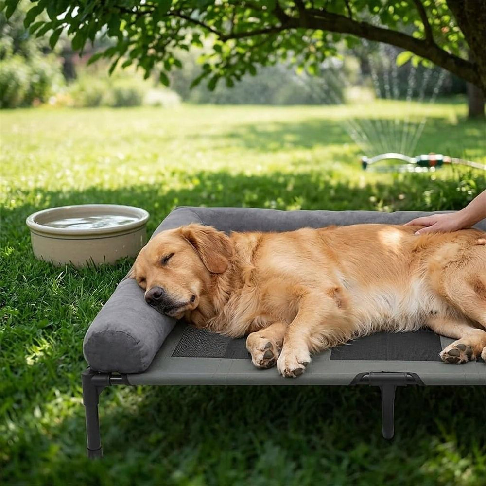 Windermere Elevated Mesh Dog Bed - Pawlunova