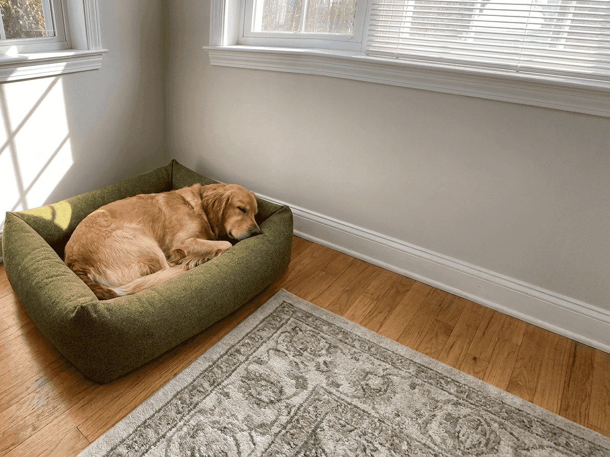 Windsor Upholstered Orthopaedic Dog Sofa - Pawlunova
