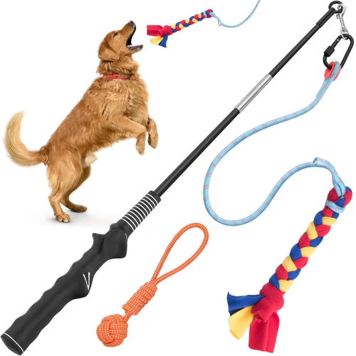Derwent Motion-Activated Smart Dog Ball